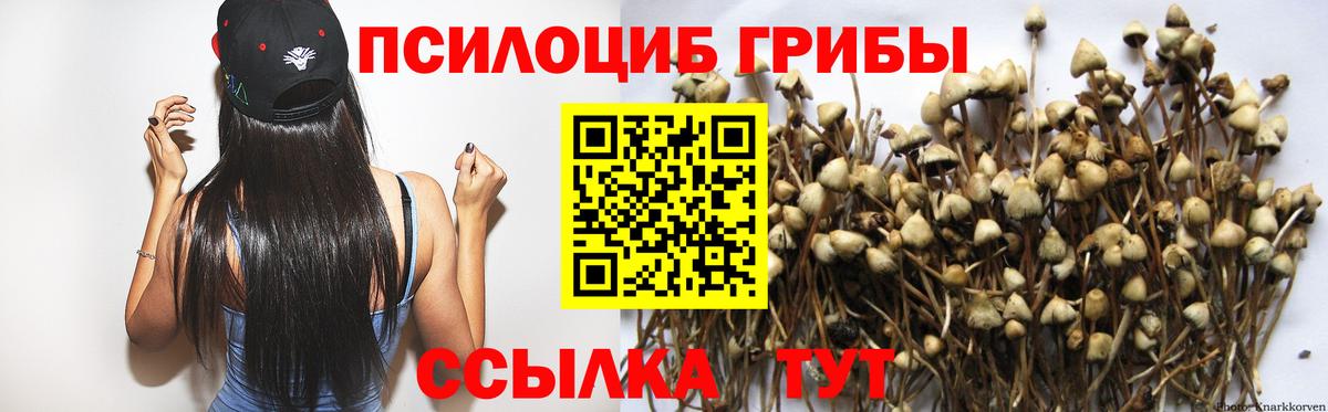 Галлюциногенные грибы мицелий Александров